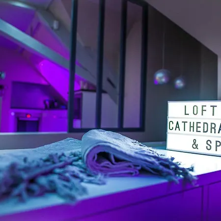 Appartement Loft Cathedrale